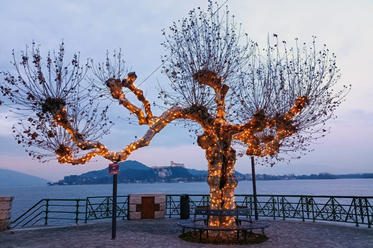 02-arona
