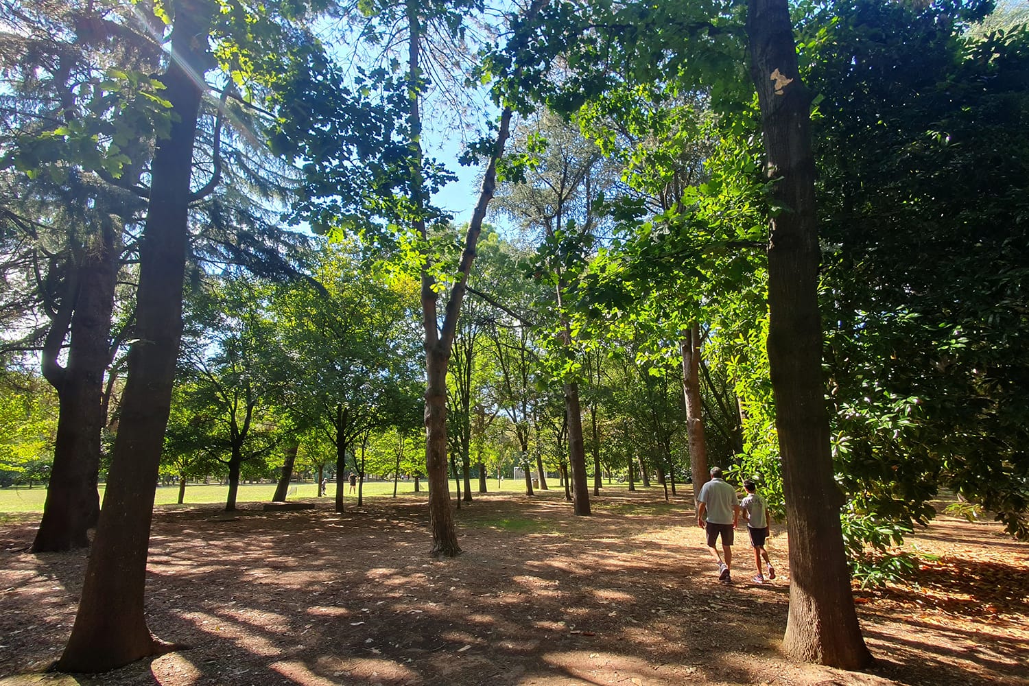 02-parcoarcadia