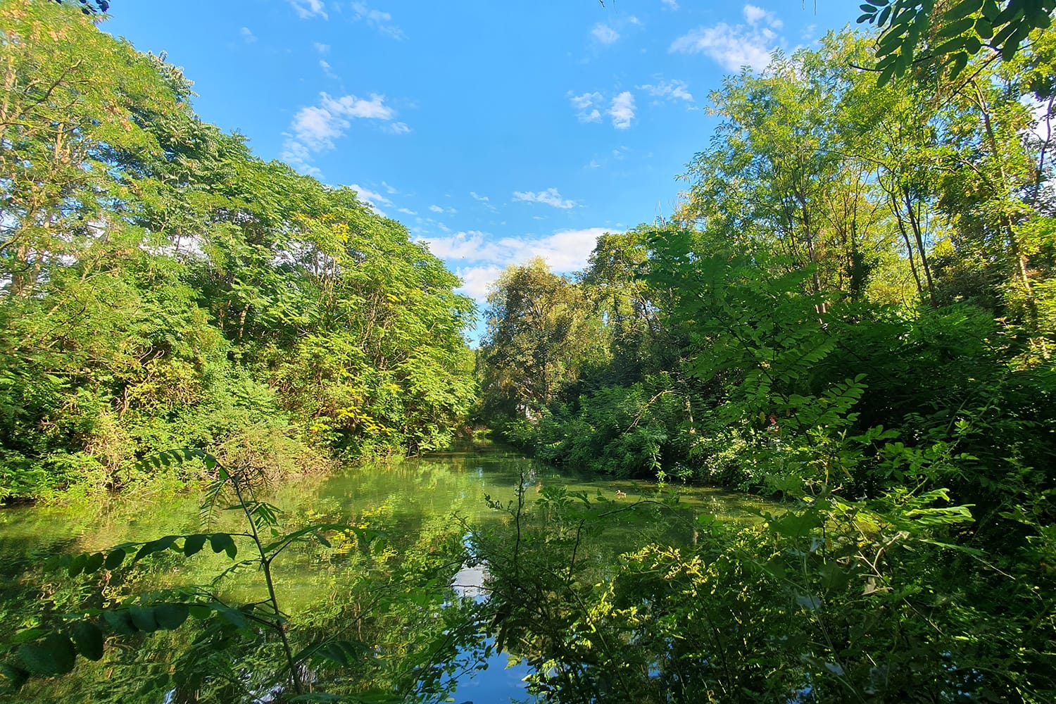 04-parcoarcadia