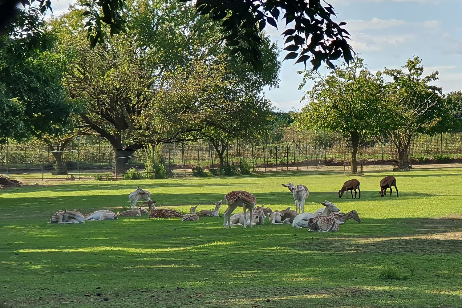05-parcoarcadia